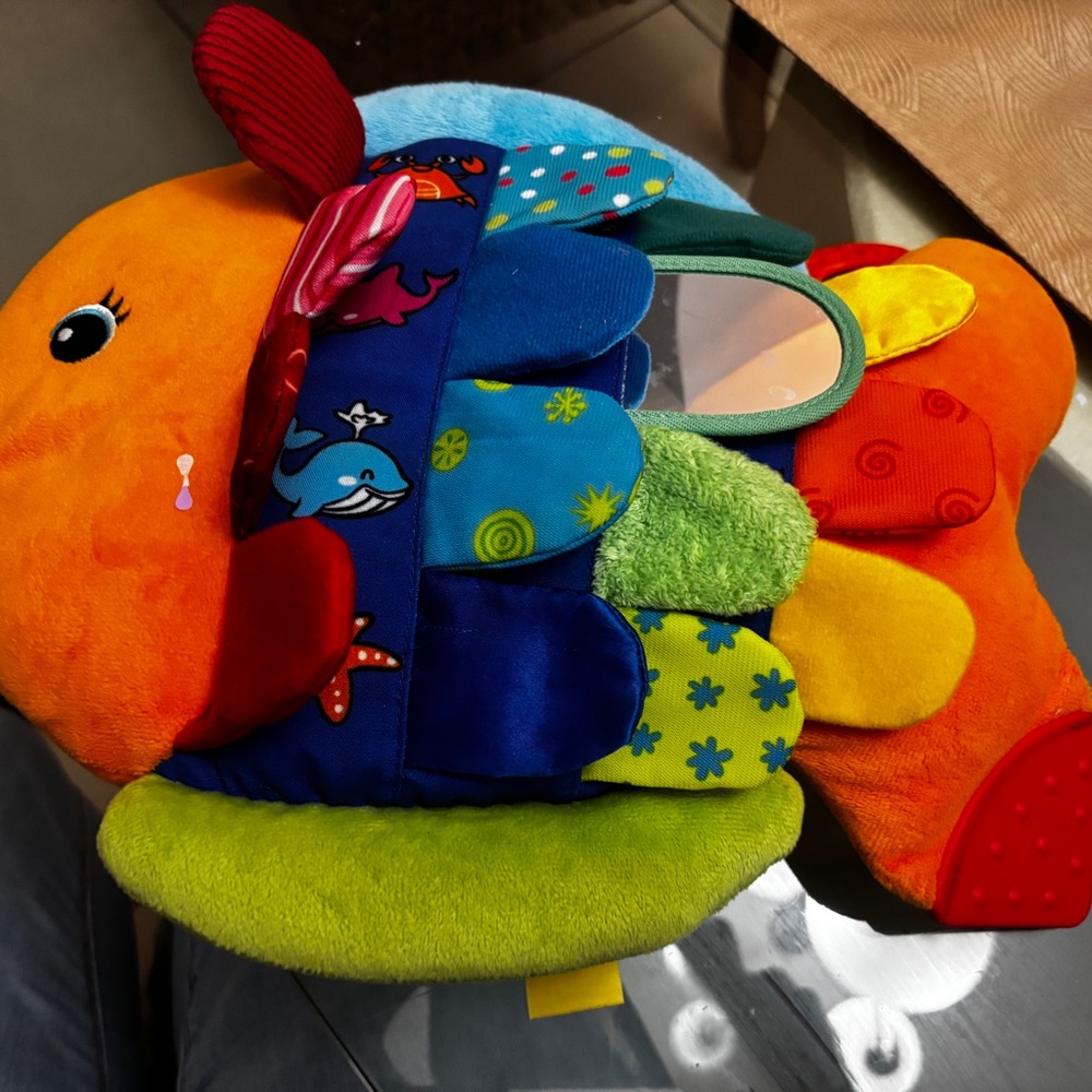 Colorful Fish Learning Toy